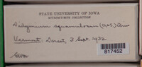 Image Associated With the Occurence